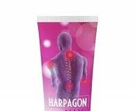 Harpagon Forte Max – na bóle stawów - apteka – jak stosować – opinie