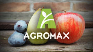 Agromax - gdzie kupić - apteka - na Allegro - na ceneo - strona producenta?