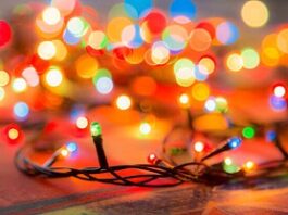 Holiday Lights - co to jest - jak stosować - dawkowanie - skład